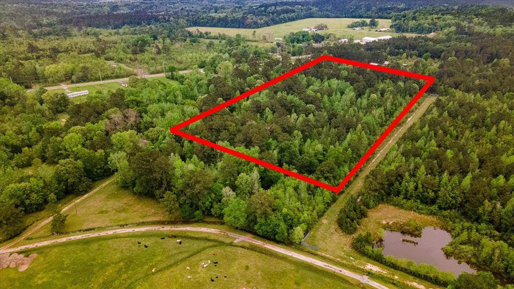 Batson, TX 77519,TBD Shaw RD
