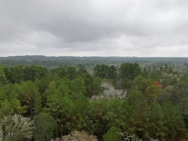 Huntsville, TX 77320,13.71 Acres Tract 1 TBD Percy Howard Rd