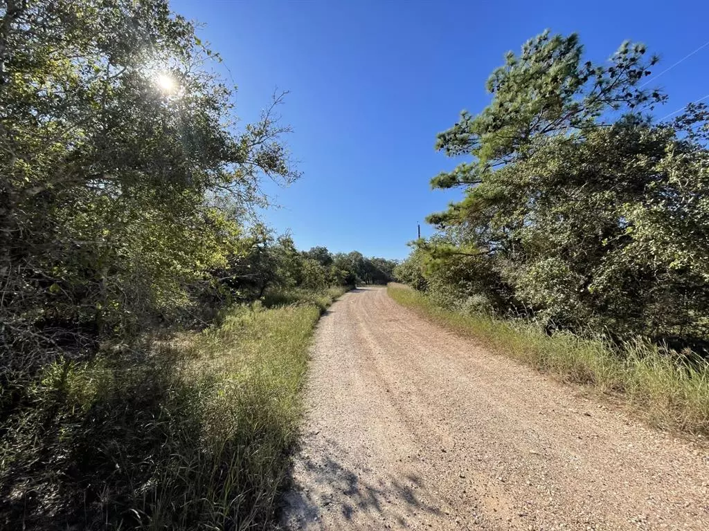 Hallettsville, TX 77964,Lot 3 County Road 14