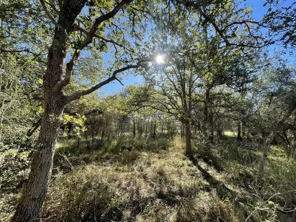 Hallettsville, TX 77964,Lot 3 County Road 14