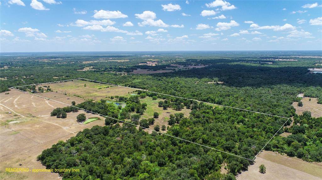 5380 County Road 132 - 81 acres, Somerville, TX 77879