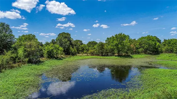 Somerville, TX 77879,5380 County Road 132 - 81 acres