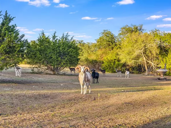 Fredericksburg, TX 78624,494 Tres Arroyos RNCH