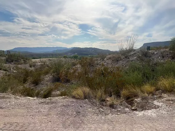 0100 Needle Peek Road, Study Butte-terlingua, TX 79852