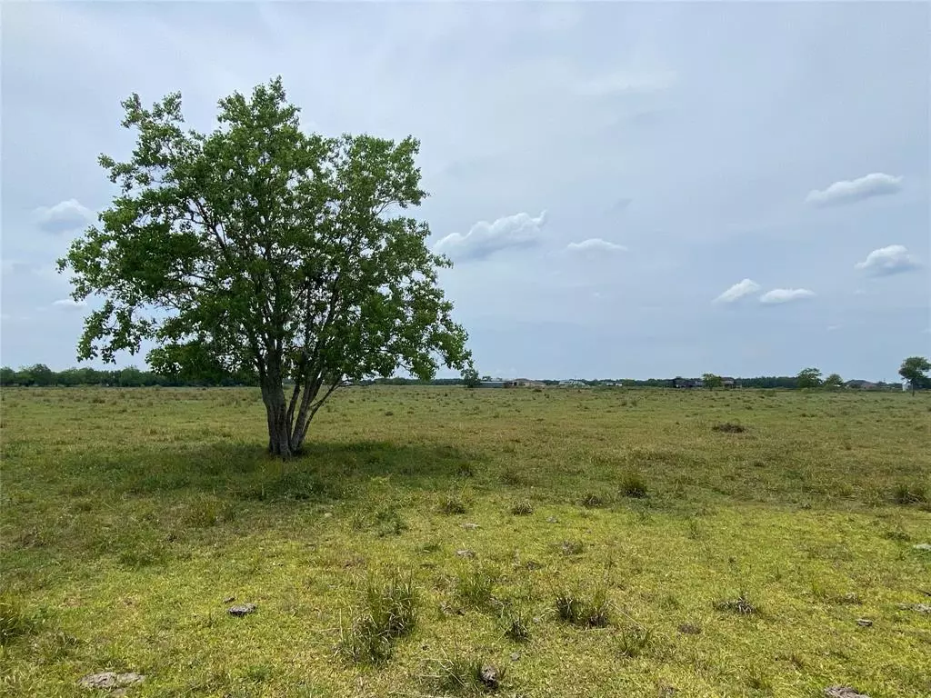 Rosharon, TX 77583,0 Lot 10, County Road 382