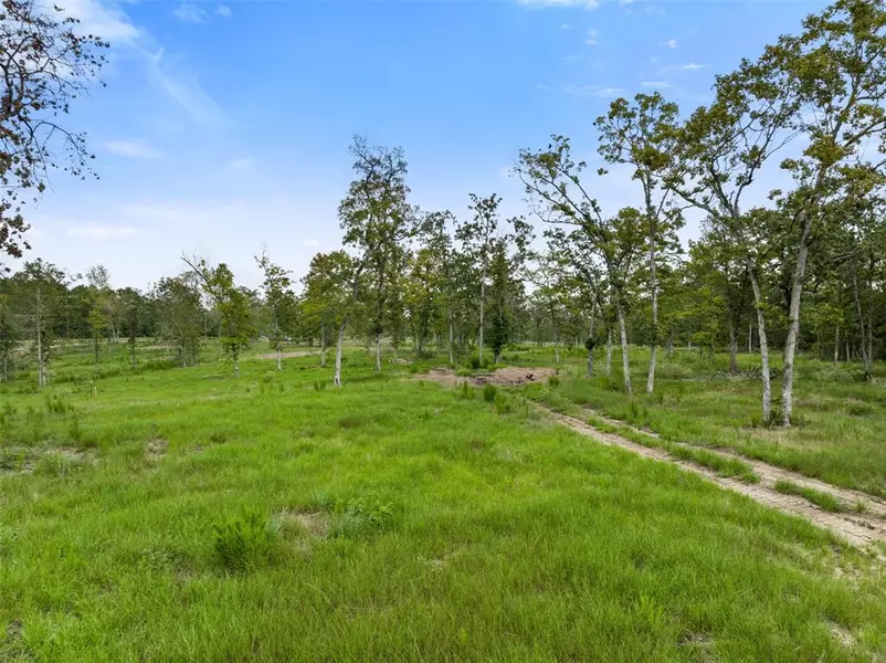 Lot 6 FM 3152 RD, Livingston, TX 77351