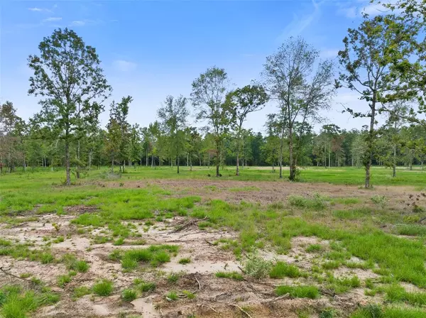 Livingston, TX 77351,Lot 6 FM 3152 RD