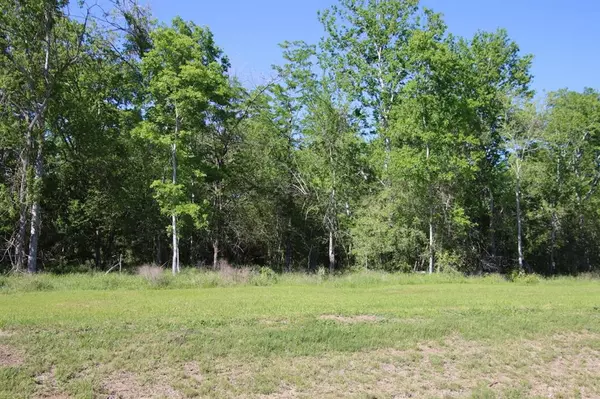 Washington, TX 77880,00 Wooded Reserve CT