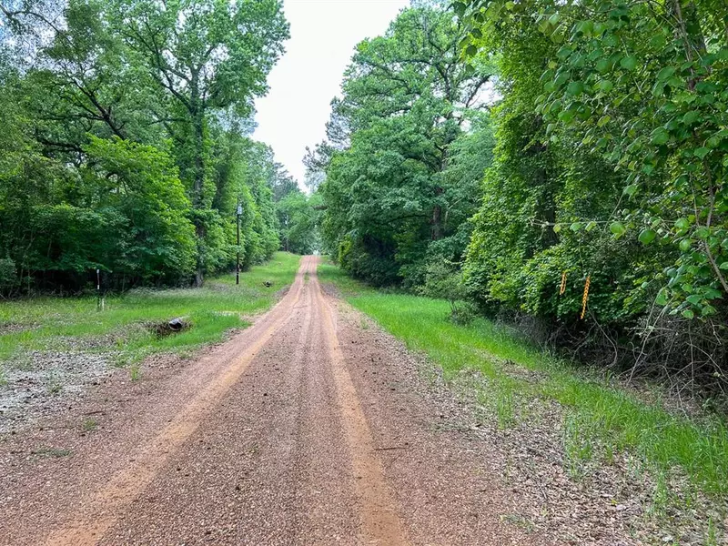 0 Forest Road, Crockett, TX 75835