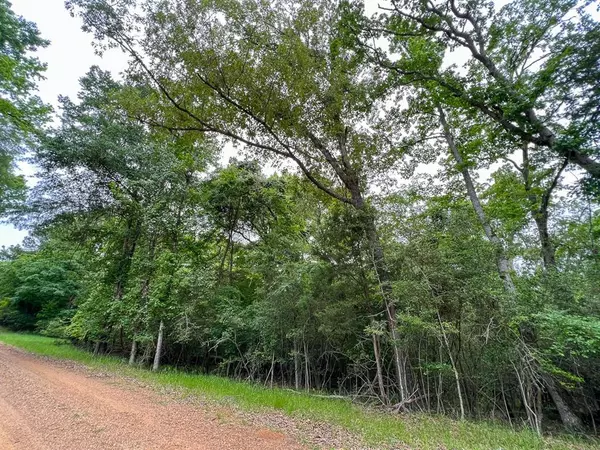 Crockett, TX 75835,0 Forest Road