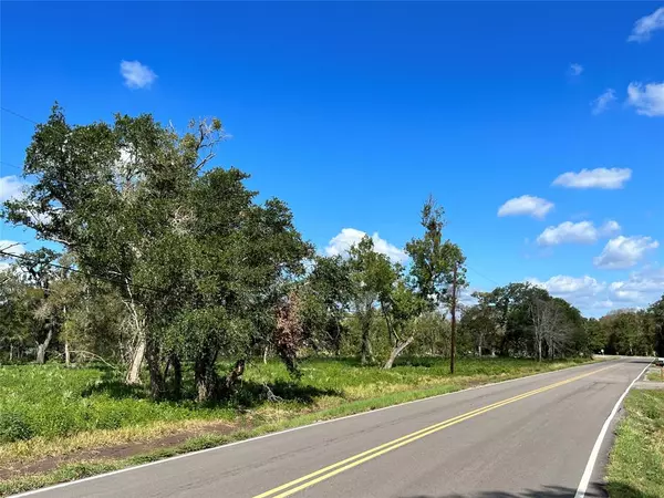 Brazoria, TX 77422,Lot 1 County Road 506