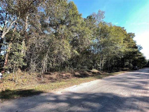 0 County Road 3564, New Caney, TX 77357