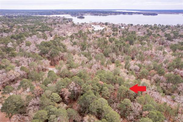 Lot 15 Hickory LN,  Trinity,  TX 75862