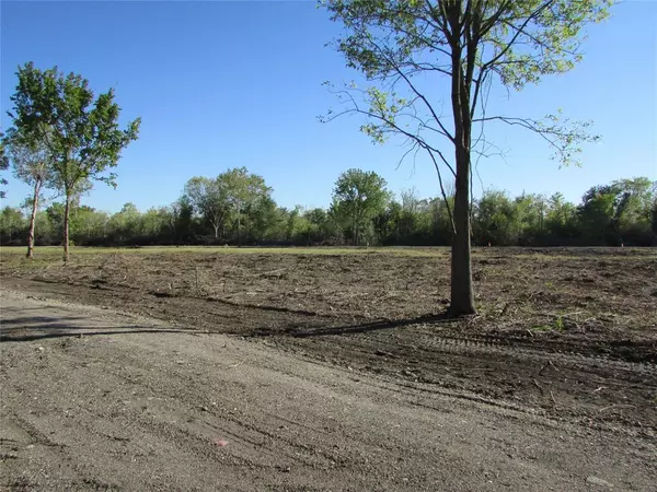 Rosharon, TX 77583,0000 (Lot 71) Trufle Rue ST