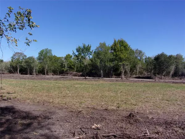 Rosharon, TX 77583,0000 (Lot 71) Trufle Rue ST