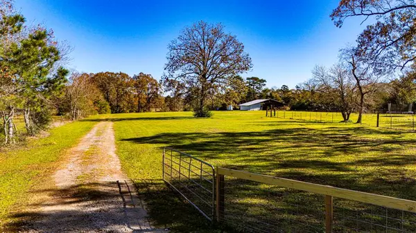 Shepherd, TX 77371,TBD Ellis Lovett Rd