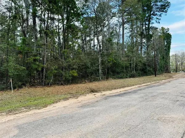 Montgomery, TX 77316,Lot 9 Deep Forest Lane