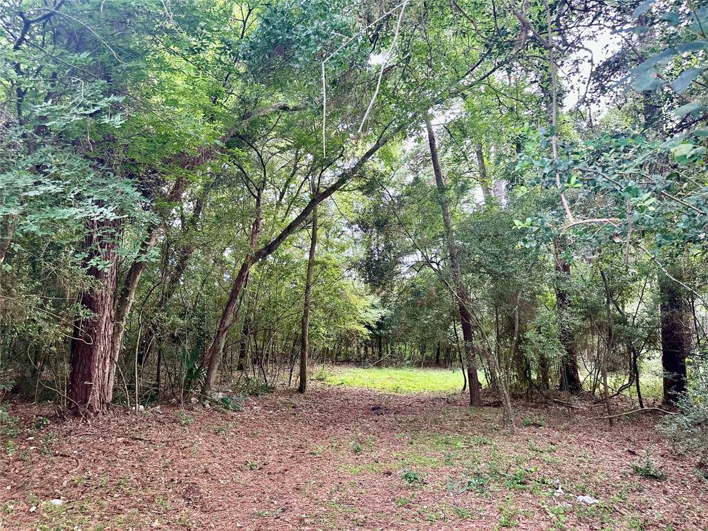 Conroe, TX 77316,000 St Lawrence River Rd