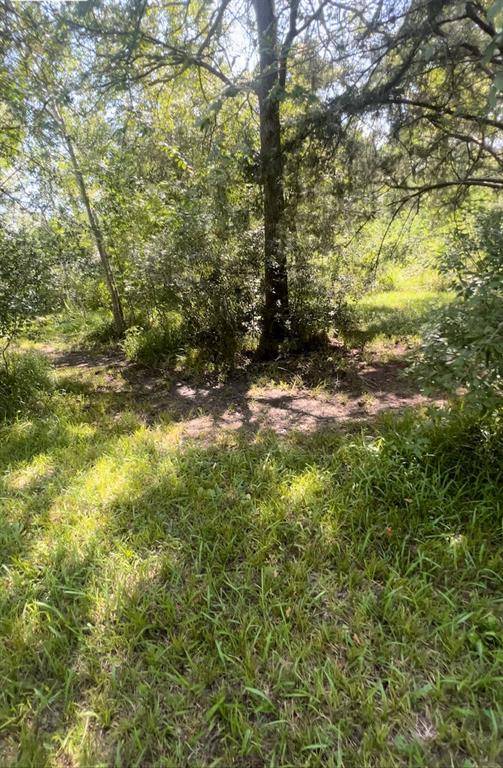 0 Tallow Forest, Dickinson, TX 77539