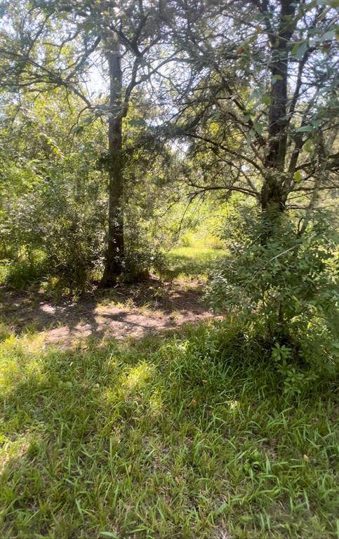 Dickinson, TX 77539,0 Tallow Forest