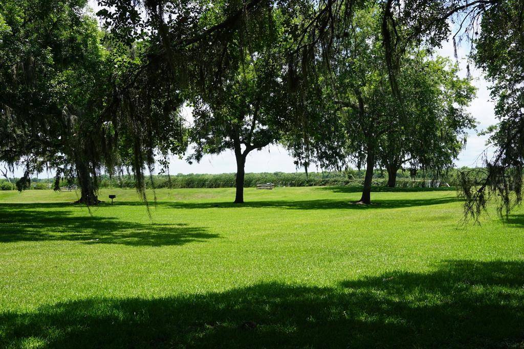 Angleton, TX 77515,382 Pony Trail