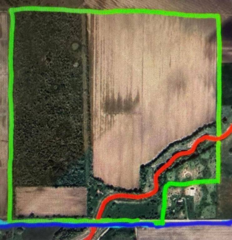 Beasley, TX 77417,10542 Walker RD