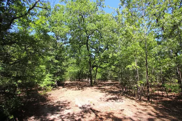 Winnsboro, TX 75494,TBD County Road 4552