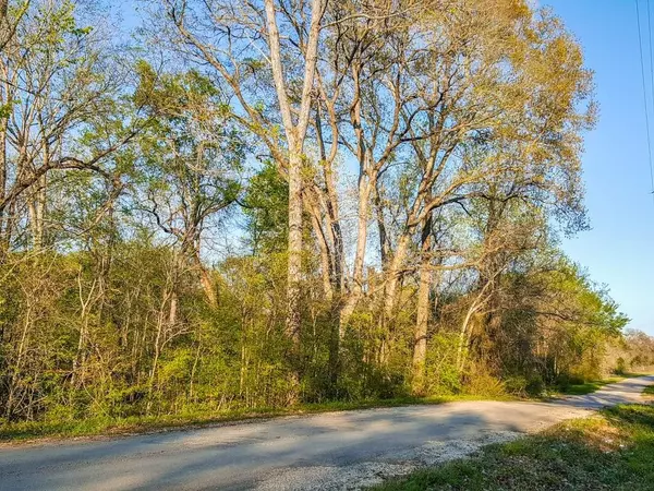 Elgin, TX 78621,Lot 33 Mesquite Trail