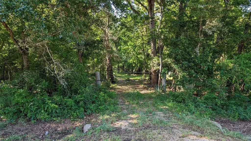 Needville, TX 77461,0000 Sawmill RD