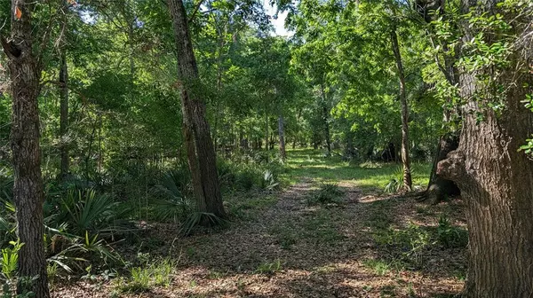 Needville, TX 77461,0000 Sawmill RD