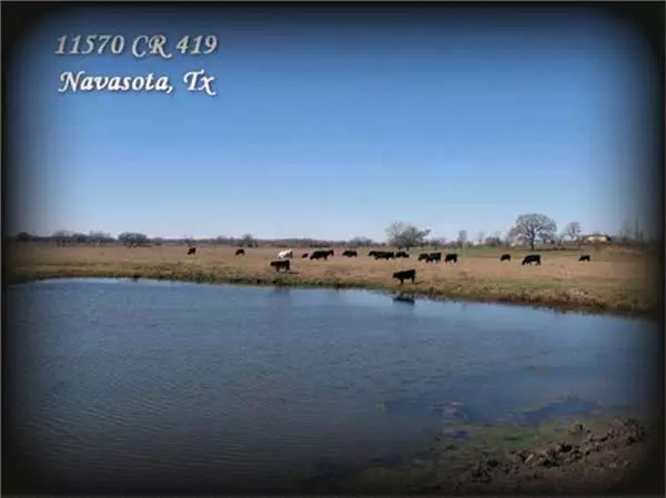 Navasota, TX 77868,11568 County Road 419