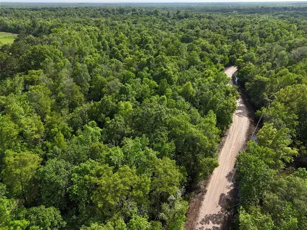 Liberty, TX 77575,TBD County Road 149