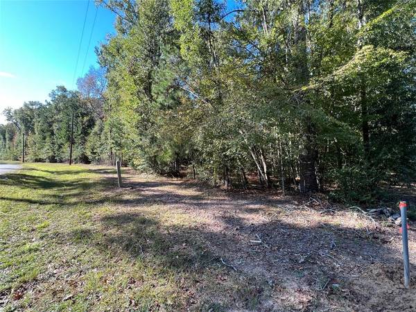 Splendora, TX 77372,Lot 7 County Road 3667