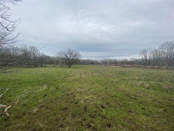 Crockett, TX 75835,TBD CR 3075