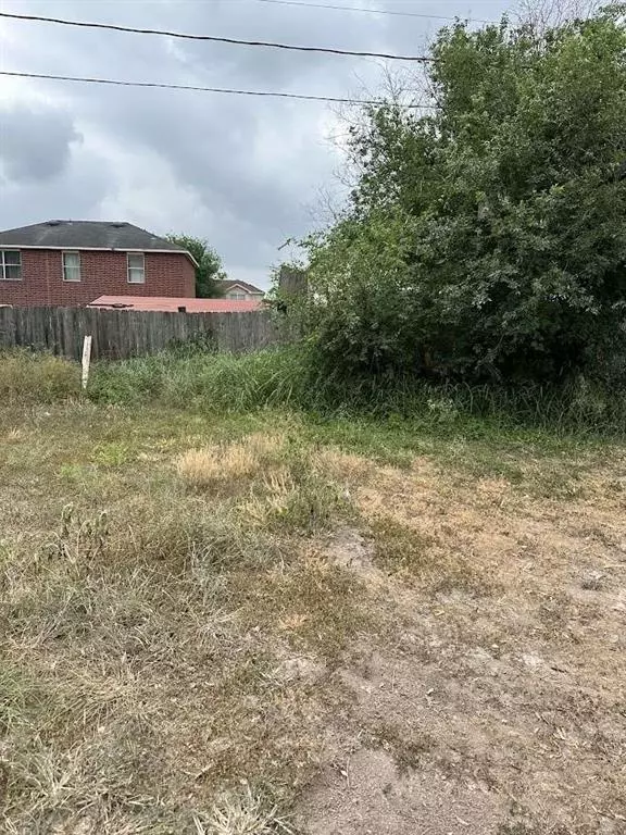 San Juan, TX 78589,1206 E San Juan CIR