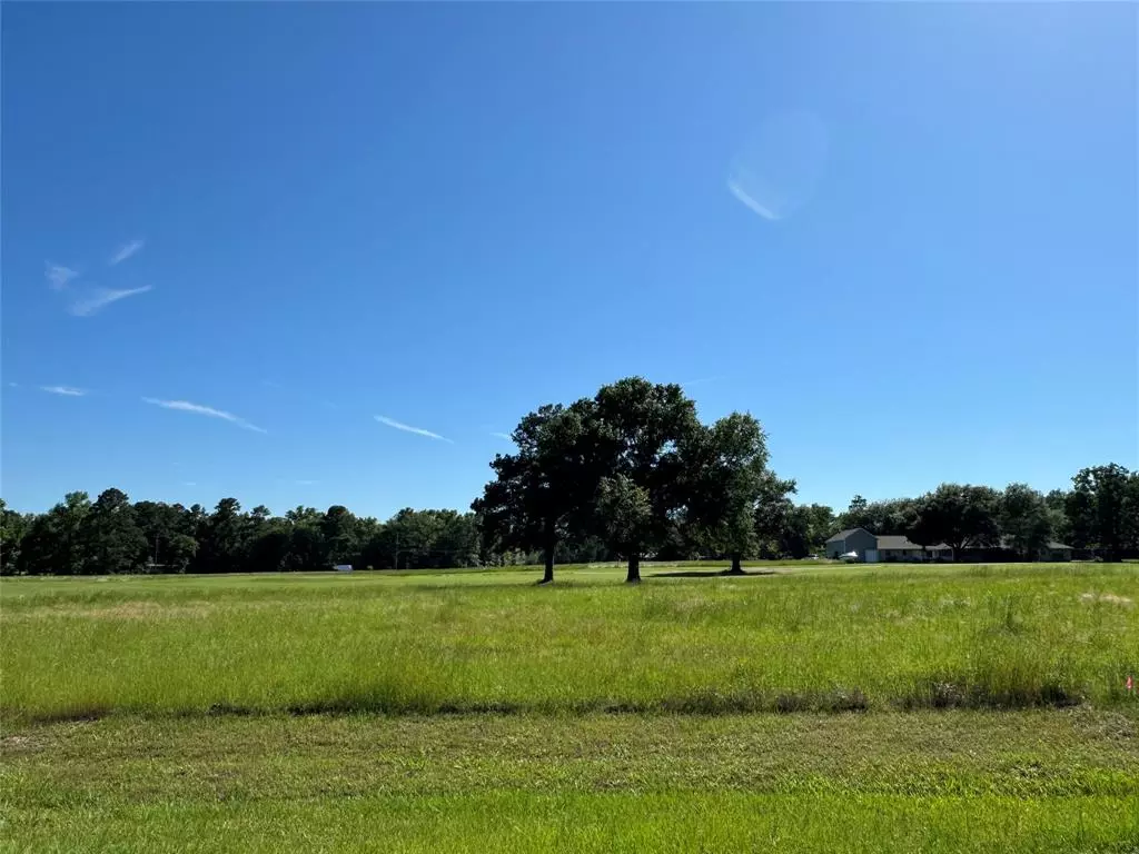 Trinity, TX 75862,62 Oakridge South