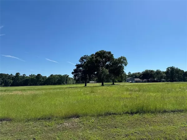 Trinity, TX 75862,62 Oakridge South