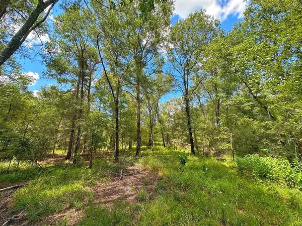 20 ac PR 2315,  Centerville,  TX 75833