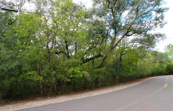 0 County Road 331, Rosharon, TX 77583