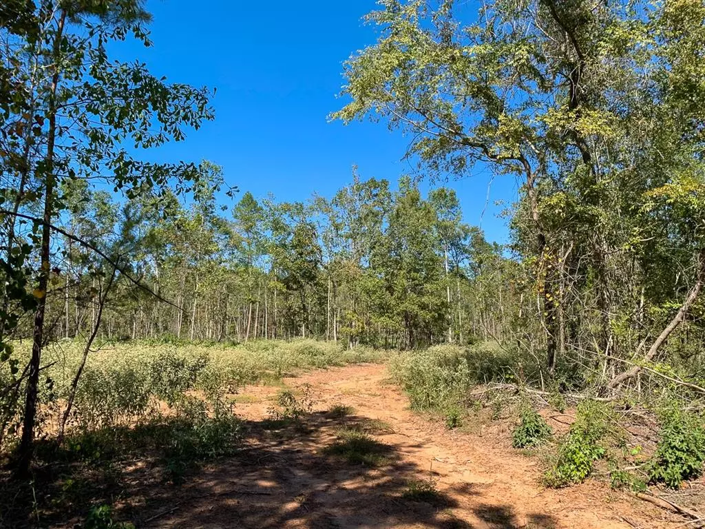 Nacogdoches, TX 75964,2640 CR 817