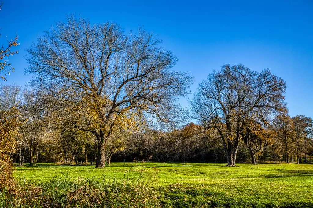 Hempstead, TX 77445,40407 Wildlife Run