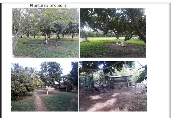 99999,10 Acres Plantation w/ Pig Stye - Mullins River