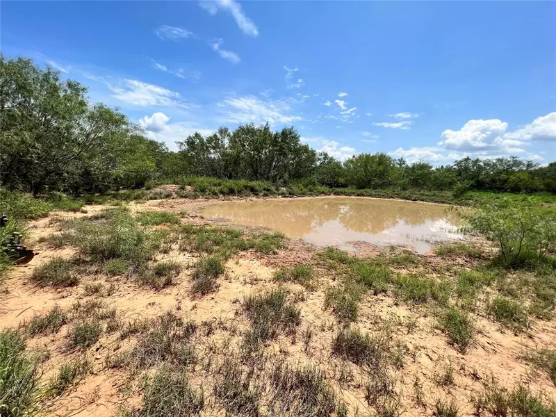 68.56 acres County Road 260, Realitos, TX 78376