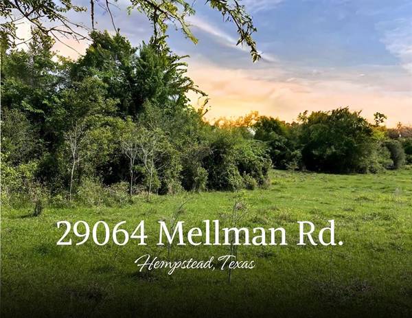 29064 Mellman RD, Hempstead, TX 77445