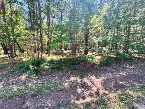 3 S Fairway LOOP, Coldspring, TX 77331