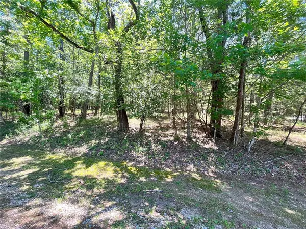 Coldspring, TX 77331,3 S Fairway LOOP