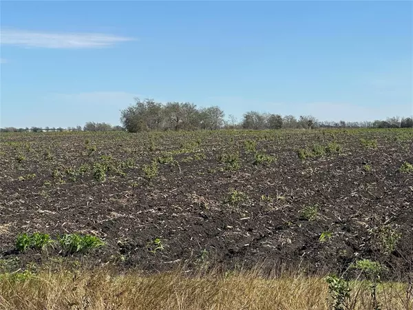 Wallis, TX 77485,TBD Fm-1952