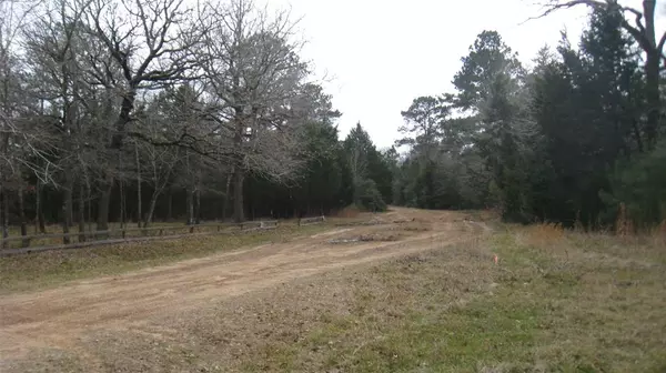 Hempstead, TX 77445,Lot 331 Park View Dr