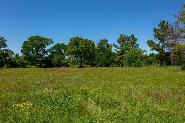 Caldwell, TX 77836,Lot 23A Brazos Court