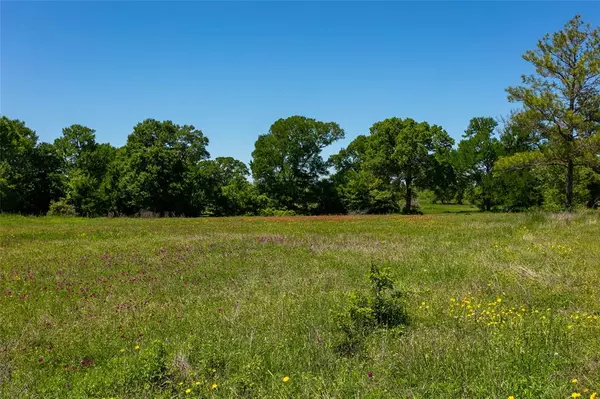 Caldwell, TX 77836,Lot 23A Brazos Court